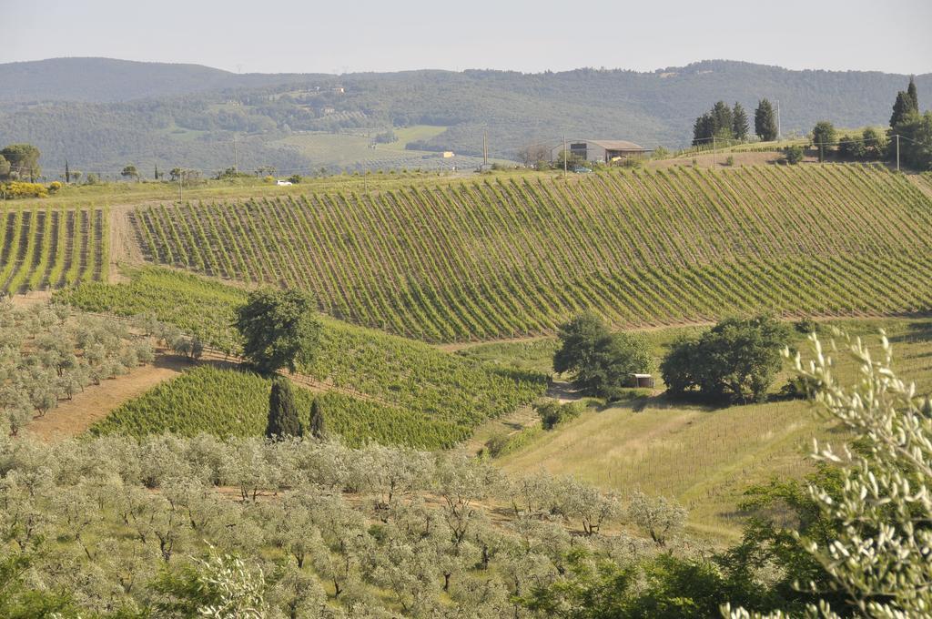 Agriturismo Renai E Monte II 甘巴西 外观 照片